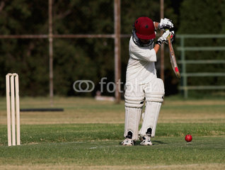 Cricket shot